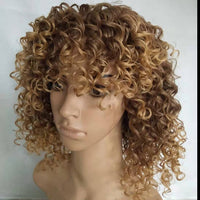 Curly Afro Synthetic Wig for Women - Image 2
