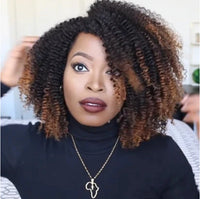 Curly Afro Synthetic Wig for Women - Image 3