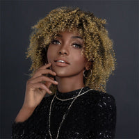 Brown & Mixed Curly Afro Synthetic Wig for Women - Image 2