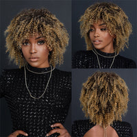 Brown & Mixed Curly Afro Synthetic Wig for Women - Image 1