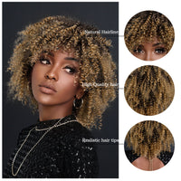 Brown & Mixed Curly Afro Synthetic Wig for Women - Image 3