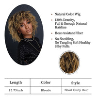 Brown & Mixed Curly Afro Synthetic Wig for Women - Image 5