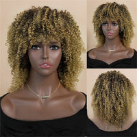 Brown & Mixed Curly Afro Synthetic Wig for Women - Image 6