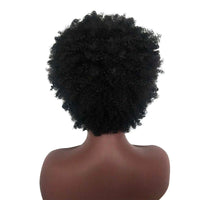 Black Curly Afro Synthetic Wig for Women - Image 4