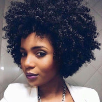 African American Gorgeous Afro Curly Wig