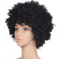 African American Gorgeous Afro Curly Wig