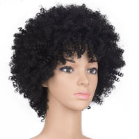 African American Gorgeous Afro Curly Wig