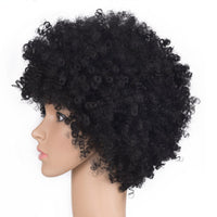 African American Gorgeous Afro Curly Wig