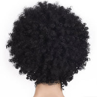 African American Gorgeous Afro Curly Wig