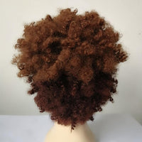African American Gorgeous Afro Curly Wig