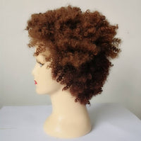 African American Gorgeous Afro Curly Wig