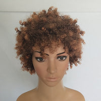 African American Gorgeous Afro Curly Wig