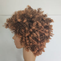African American Gorgeous Afro Curly Wig