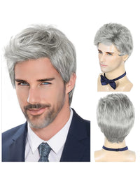 Grey Synthetic Wig for Men - Image 1