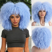 Fluffy Afro Kinky Curly Synthetic Wig for Women Glueless Full Head Heat Resistant Fiber Hair Natural Bouncy Volume Light