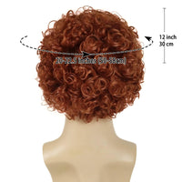Short Red Afro Curly Synthetic Wig with Bangs for Men Male Guy Cosplay Costume Halloween Heat Resistant Hair Replacement Wigs