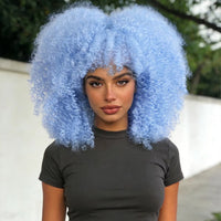 Fluffy Afro Kinky Curly Synthetic Wig for Women Glueless Full Head Heat Resistant Fiber Hair Natural Bouncy Volume Light