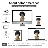 Mens Wig Short Curly Afro Wigs for Men Natural Curly Layered Synthetic Replacement Wig for Male Party Cosplay Halloween