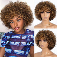 Brown & Mixed Curly Kinky Machine Made Human Hair Wig for Women - Image 1
