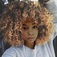 Multi-Color Curly Kinky Synthetic Wig for Women - Image 1