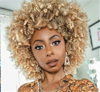 Change Your Look! Afro Kinky Curly Wig in Mixed Brown or Blonde