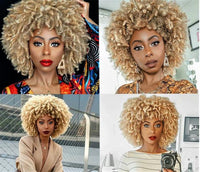 Change Your Look! Afro Kinky Curly Wig in Mixed Brown or Blonde