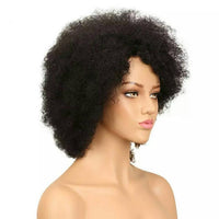 Afro Kinky Curly Wig Brazilian Hair Wig Color F1B/99J Short Wigs For Black Women