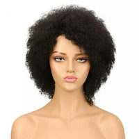Afro Kinky Curly Wig Brazilian Hair Wig Color F1B/99J Short Wigs For Black Women