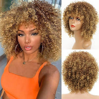 Black Curly Kinky Synthetic Wig for Women - Image 1