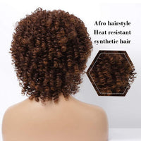 Afro Fluffy Little Curly Wig, Heat Resistant Wig, Fashion Wig, Cosplay Wig, Short Hair Wig, Brown Wig