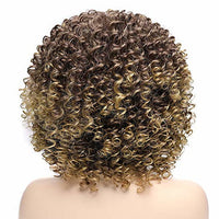 Curly Kinky Synthetic Wig for Women - Image 3